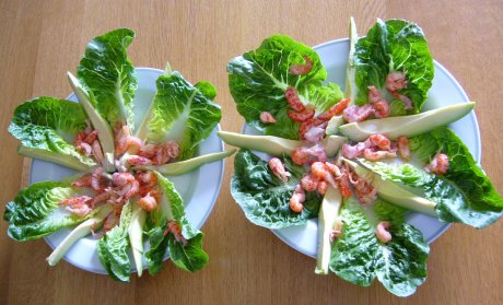 Avocado-Blattsalat mit Krebsfleisch
