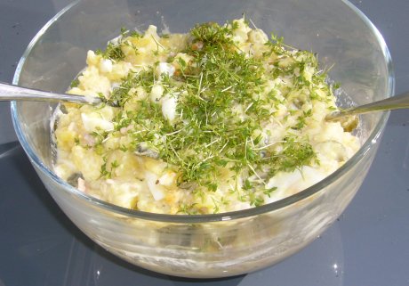 zitroniger Kartoffelsalat